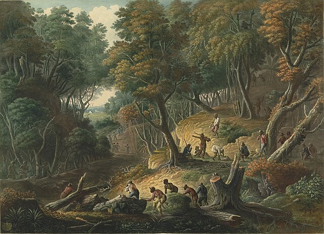 An aquatint depicting British troops caught in an ambush by a group of Maroons in 1795.